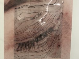 Exposición de Mutantes 2022